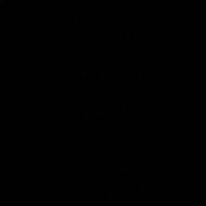 Meet your Posher, Jonti